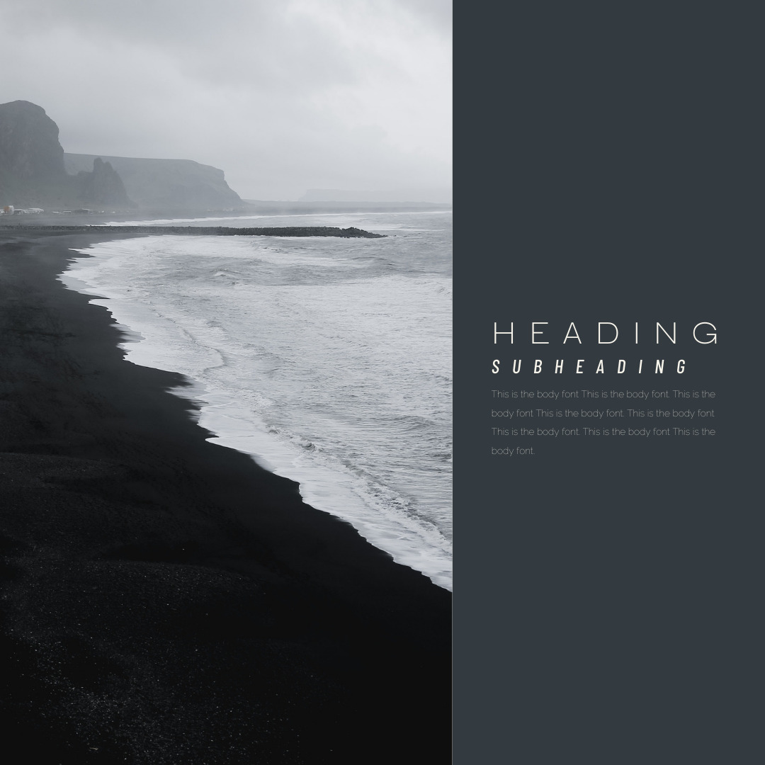 Copy of portfolio (4)